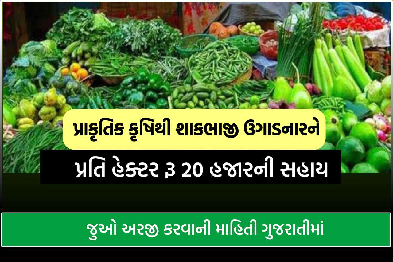 પ્રાકૃતિક કૃષિથી શાકભાજી ઉગાડનારને પ્રતિ હેક્ટર રૂ 20 હજારની સહાય